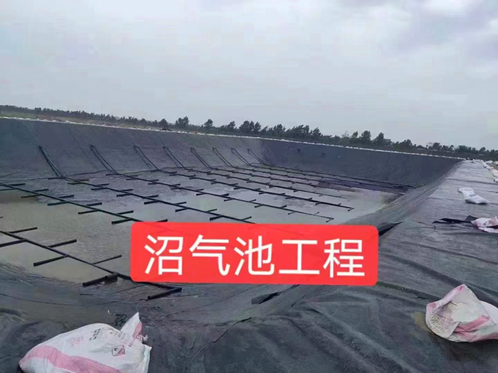 黑膜厭氧塘采用什么標準的土工膜合適？